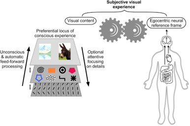 remote-neuronal-monitoring